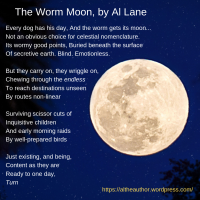 The Worm Moon